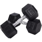 10KG Hexagon Dumbbells Pair