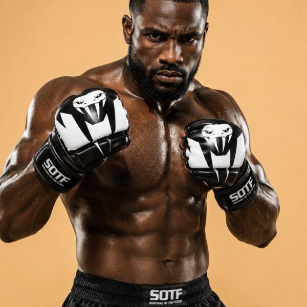 Elite MMA Gloves