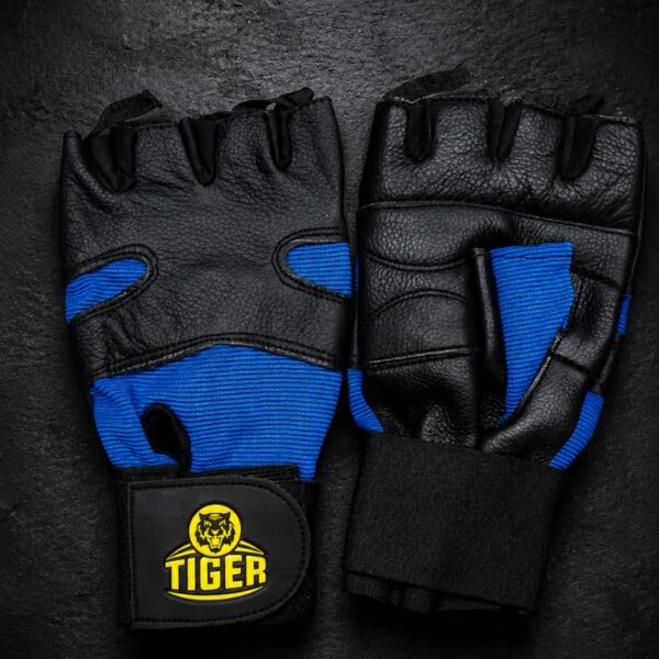 Premium Half-Finger Weight Lifting Gloves